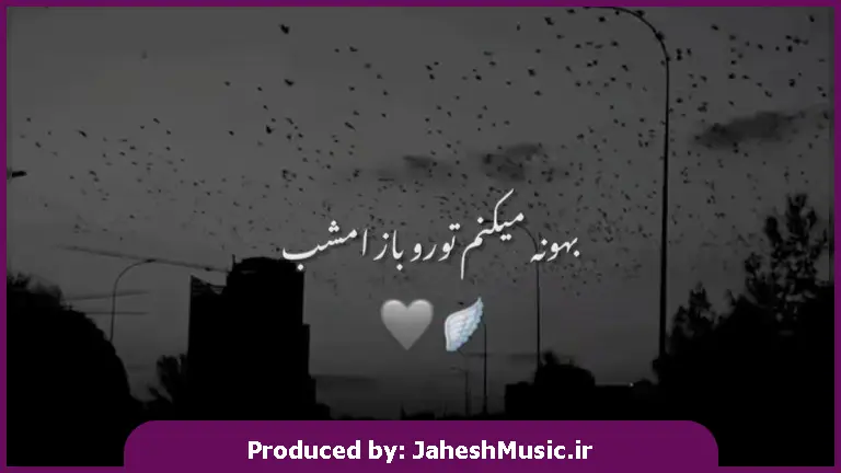 دانلود آهنگ محلی بهونه میکنم تورو باز امشب دلم بازم گرفته مثل هر شب از 